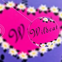 Wildcat-來來賞