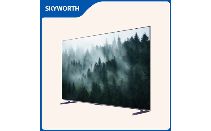 SKYWORTH 100