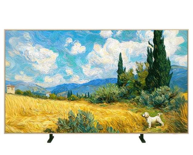 TCL 65